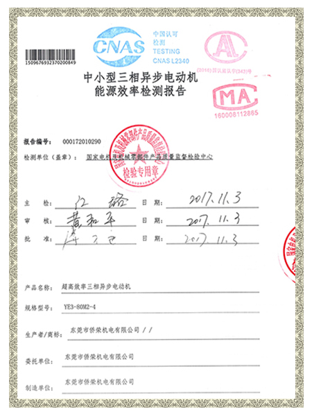 YE3-80M2-4報(bào)告